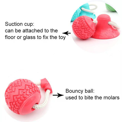 Dog Toys TPR Ball Teeth Grinding Cleaning Teeth-HA01474-Veeddydropshipping