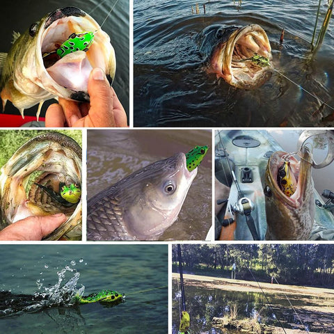 Fishing Lure 3D Eyes Ray Soft Artificial Frog Bait With Hooks Swimbait Topwater -OS00458-Veeddydropshipping