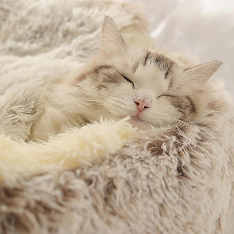Warm Dog Cat Bed Cat House Cave-HA01978-Veeddydropshipping