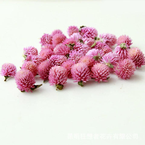 Natural Dried Flowers Head Epoxy Resin Mold-HA00747-Veeddydropshipping