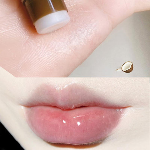 Fruity Lip Balm Moisturizing Nourishing Lip Gloss-BH00679-Veeddydropshipping