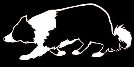 Accessories Border Collie Bumper Sticker Border Collie Decal Dog-AM01018-Veeddydropshipping