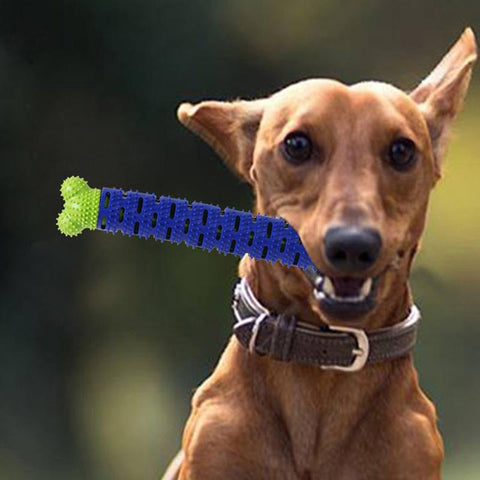 Puppy Brush Dog Toothbrush Chew Toy Molar Stick Cleaning-HA01496-Veeddydropshipping
