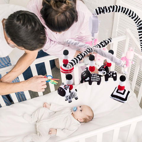 teytoy My First Baby Mobile, Montessori Black and White Mobile Crib Toys-TB00502-Veeddydropshipping