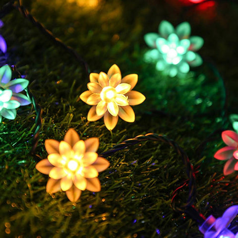 Solar String Christmas Lights Outdoor 100LED Waterproof Flower Garden-TI00811-Veeddydropshipping