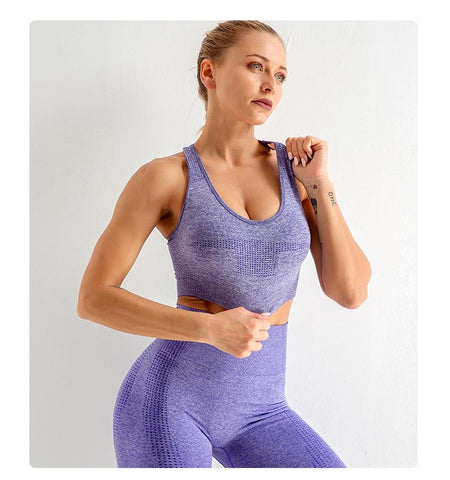 2/3/5PCS Yoga Set Seamless Workout Clothes Fitness Sports Bra Leggings Long -OS00791-Veeddydropshipping