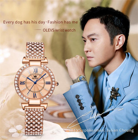 Luxury Watch Fashion Elegant Wristwatch Quartz Watches -JW01034-Veeddydropshipping