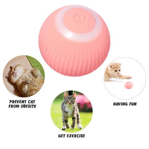 Smart Cat Toys Automatic Rolling Ball Electric-HA01400-Veeddydropshipping