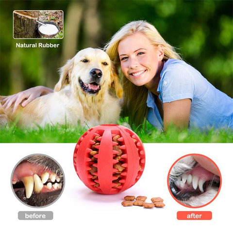 Dog Food Ball Pet Dog Toy Interactive Rubber Balls-HA01479-Veeddydropshipping