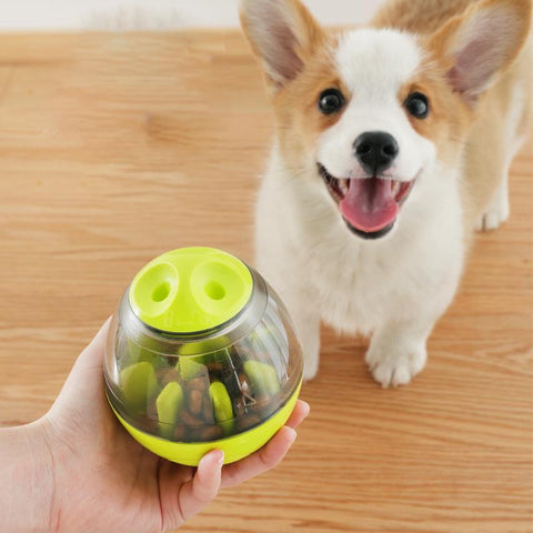Pet Funny Interactive Dog Cat Toy Feed Bowl-HA01504-Veeddydropshipping