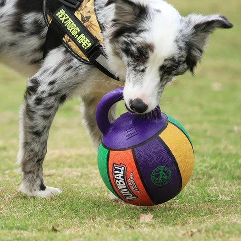 Dog Toys Bite-Resistant Pet Toy Ball-HA01485-Veeddydropshipping