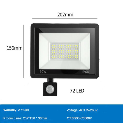 LED PIR Motion Sensor Floodlight for Outdoors Wall AC 220V 100W 50W 30W 20W-TI00885-Veeddydropshipping