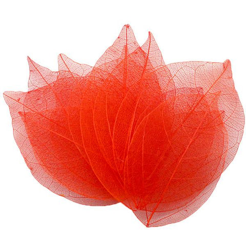 Crafts Artificial Skeleton Leaf Dry Leaves-HA00673-Veeddydropshipping