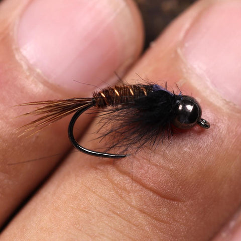 6PCS  #8 #10 #12 Tungsten Bead Head Flash Back Pheasant Tail Nymph Barbless-OS00561-Veeddydropshipping