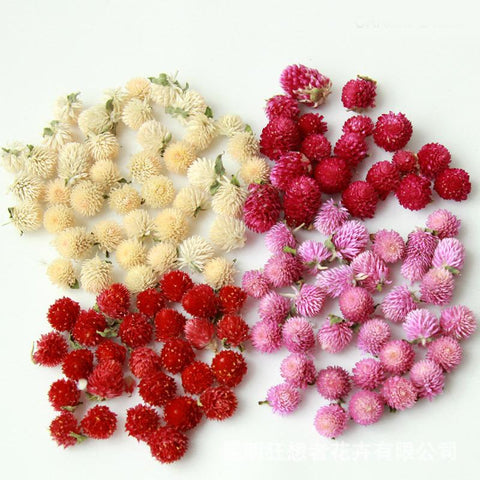 Natural Dried Flowers Head Epoxy Resin Mold-HA00747-Veeddydropshipping