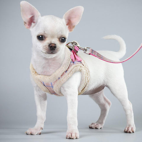 Medium Cute Adjustable Walking Harness Cats-HA01992-Veeddydropshipping