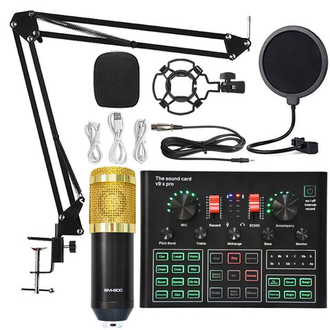 Bm 800 Microphone Sound Card Professional Studio Condenser Wireless Microphone -CE01255-Veeddydropshipping