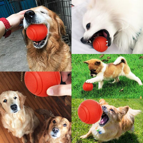 Dog Toy Rubber Ball Bite-resistant Ball-HA01501-Veeddydropshipping