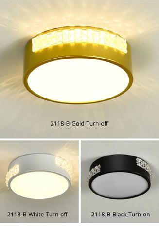 Modern Acrylic Small Ceiling Lamp LED Lights-TI00288-Veeddydropshipping