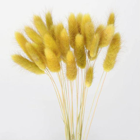 Fluffy Pampas Dried Flowers Bouquet Home Decor-HA00642-Veeddydropshipping