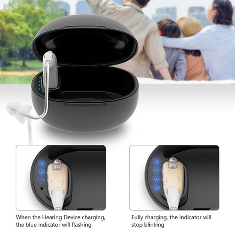 Hearing Aids Rechargeable Ear Back Type Hearing Device-BH00818-Veeddydropshipping
