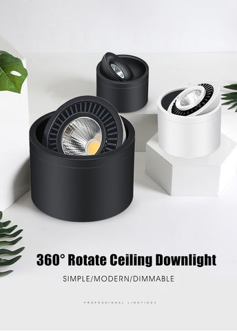 Angle Adjustable  Mounted Down light-TI00358-Veeddydropshipping