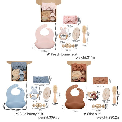 1set Baby Care Products Silicone Bibs Headband Baby Milestones Brush-TB00786-Veeddydropshipping