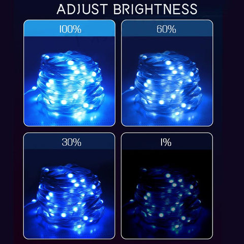 WS2812B LED String Light BT RGB Christmas Lights Party 5m 10m Music APP-TI00908-Veeddydropshipping
