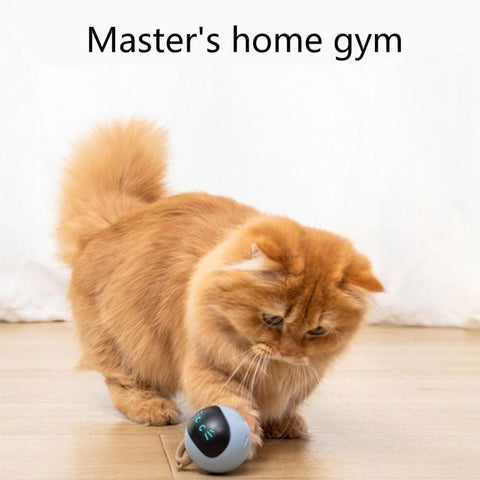 Automatic Smart Cat Toy USB Interactive Electric Jumping Ball-HA01455-Veeddydropshipping