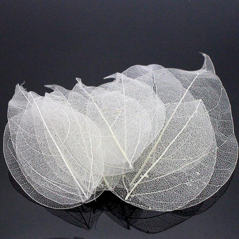 Crafts Artificial Skeleton Leaf Dry Leaves-HA00673-Veeddydropshipping