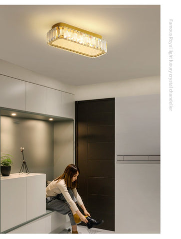 Luxury Ceiling Lights Led Gold Lamp-TI00269-Veeddydropshipping