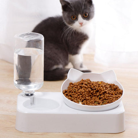 Pet bowl Drinking water Feeding bowl-HA01394-Veeddydropshipping