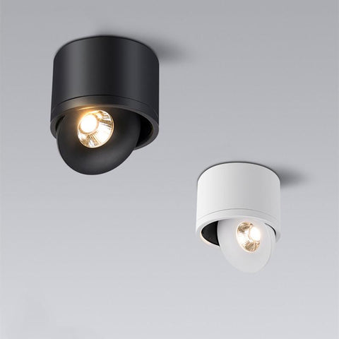 Dimmable Surface Mounted LED Ceiling Light-TI00373-Veeddydropshipping