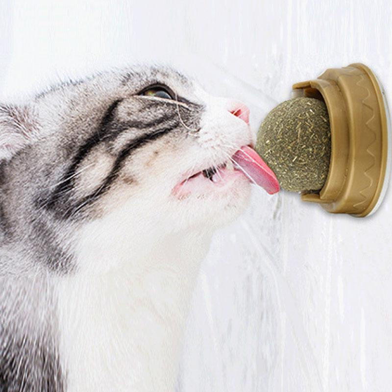 Natural Catnip Cat Wall Stick-on Ball Toy-HA01403-Veeddydropshipping