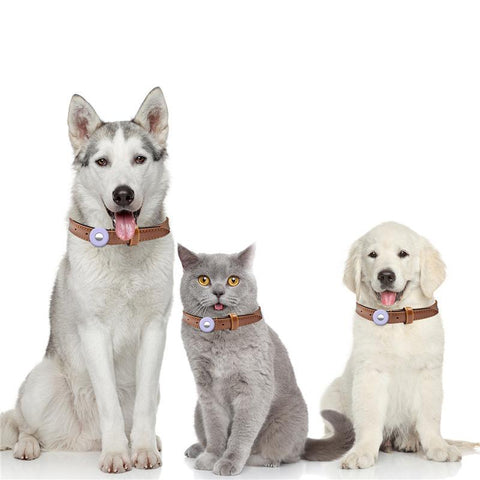 Case For Airtag Pet Collar Pendant-HA01385-Veeddydropshipping