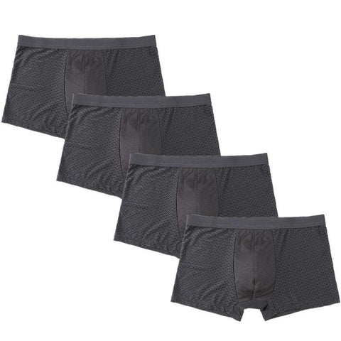 Mesh Breathable L-5XL Boxee Men Underwear Brief Underpants-MF01515-Veeddydropshipping