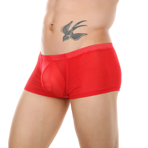 Boxers Shorts Transparent Sheer Mesh Underpants-MF01416-Veeddydropshipping