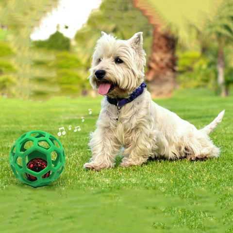 Pet Dog Toy Rubber Interactive Dog Toys Ball-HA01516-Veeddydropshipping