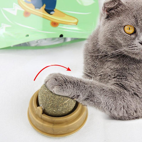 Natural Catnip Cat Wall Stick-on Ball Toy-HA01403-Veeddydropshipping