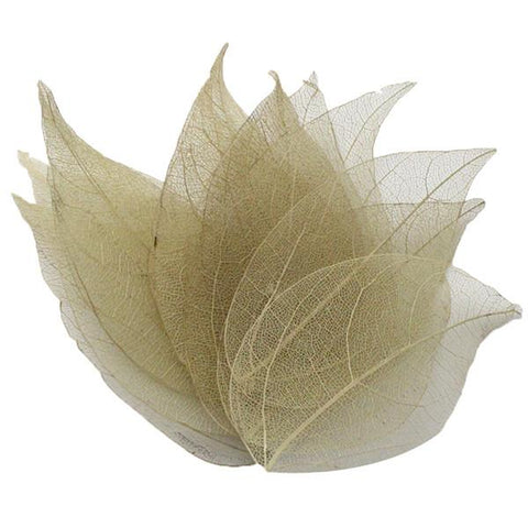 Crafts Artificial Skeleton Leaf Dry Leaves-HA00673-Veeddydropshipping