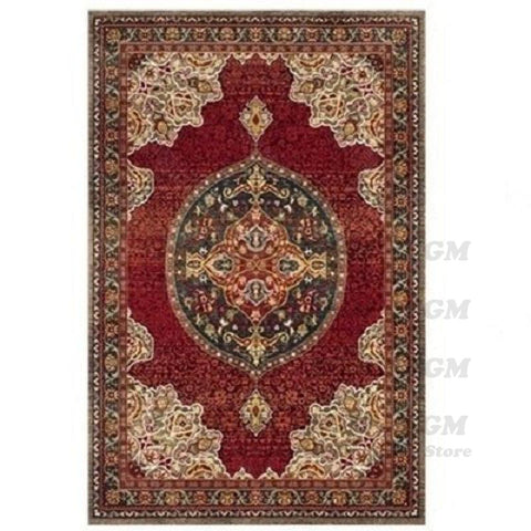 Luxury Rugs and Carpets for Home Living Room-HA00461-Veeddydropshipping