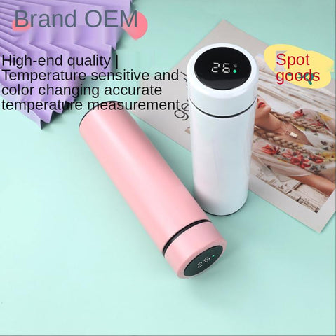 Intelligent Temperature Display Stainless Steel-HA01245-Veeddydropshipping