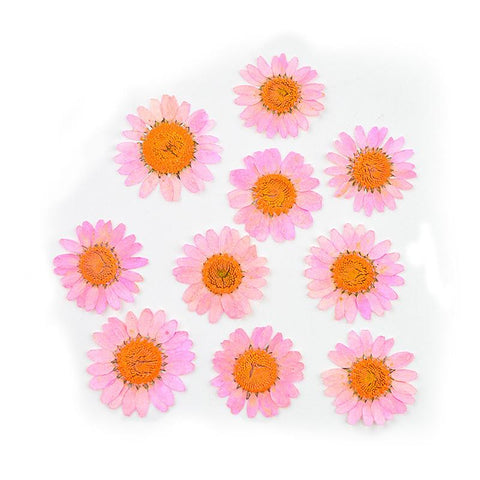 Dried Flowers Resin Filler Jewelry Making Plant Decoration-HA00664-Veeddydropshipping