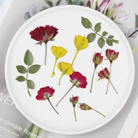 rose dried flowers all kinds of DIY dry flower-HA00672-Veeddydropshipping