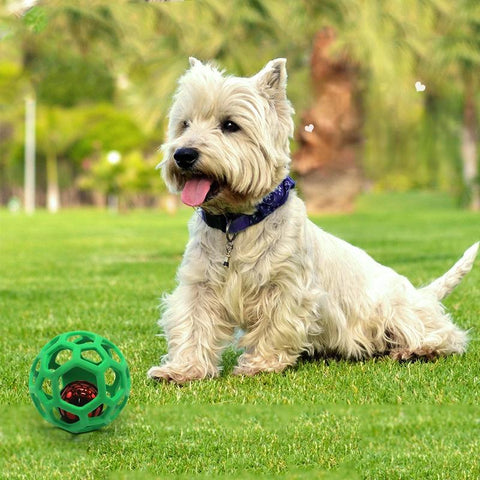 Dog Chew Toy Natural Rubber Puzzle Ball-HA01507-Veeddydropshipping