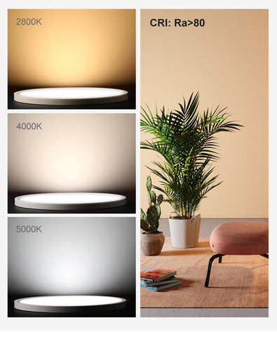 Modern Remote Control Led Ceiling Light -TI00300-Veeddydropshipping