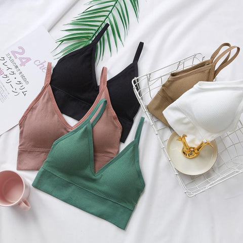 2023 Sports Bra Cropped Top Ladies Sports Bra Back Bra Quick Dry Padded Shockproof-OS00849-Veeddydropshipping