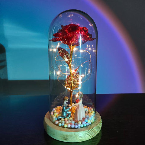 Flower Beauty and the Beast Led Eternal Rose in Glass-HA00666-Veeddydropshipping