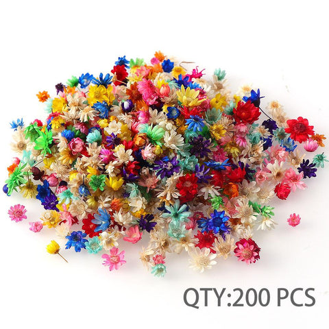 Decorative Dried Flower Mini Star Bouquet-HA00646-Veeddydropshipping
