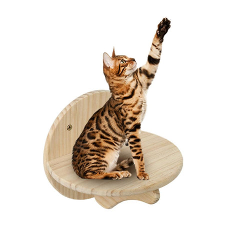 Wall-Mounted Cat Climbing Frame Pine Wood-HA01445-Veeddydropshipping